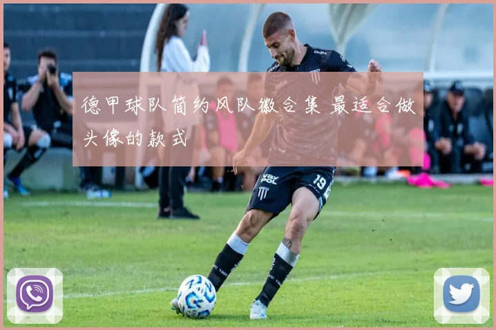 德甲球队简约风队徽合集 最适合做头像的款式