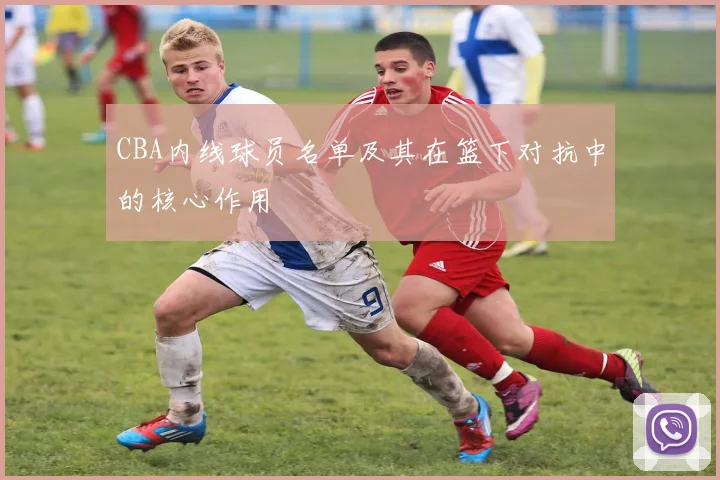 CBA内线球员名单及其在篮下对抗中的核心作用