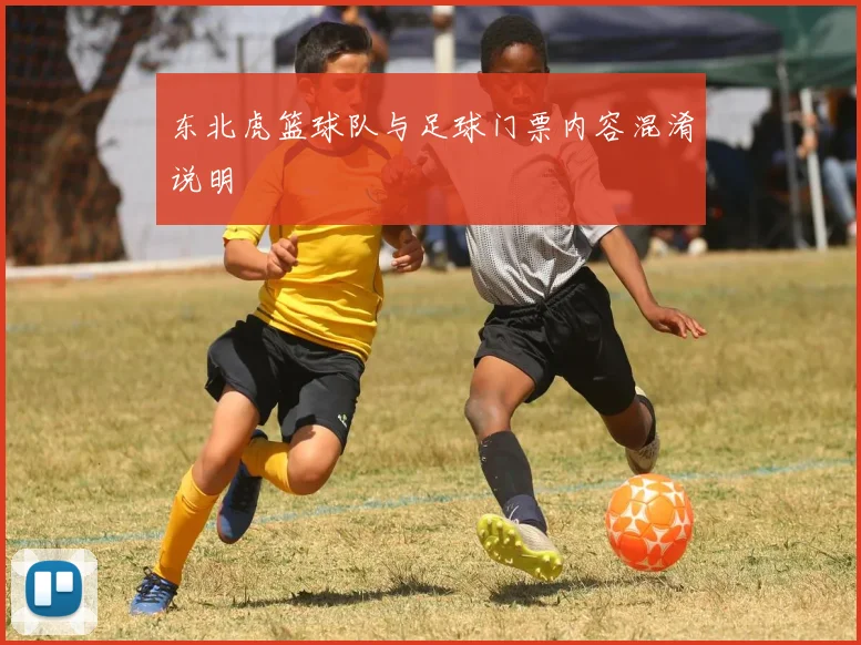 东北虎篮球队与足球门票内容混淆说明